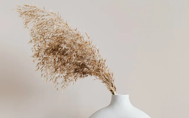 Macrame for Small Spaces: 10 Apartment-Sized Ideas